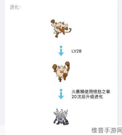 口袋妖怪朱·紫神兽捕捉全攻略