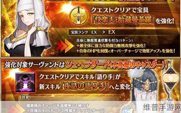 FGO杀生院技能本与强化本全面攻略，资源管理技巧助你最大化价值