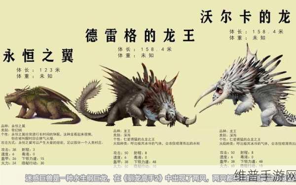 驯龙高手，巴夫与贝奇的无敌阵容秘籍