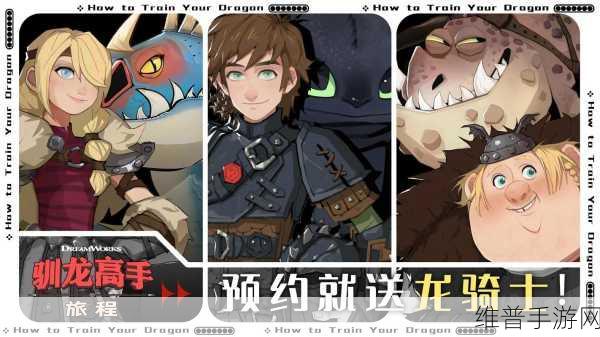 驯龙高手，巴夫与贝奇的无敌阵容秘籍