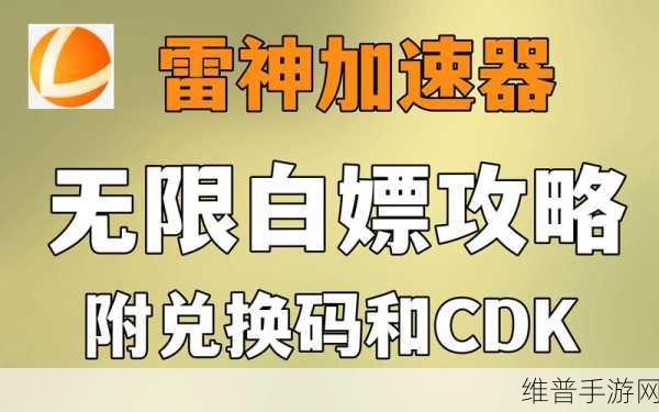 黑色沙漠手游延迟高？雷神加速器助你畅享游戏世界！