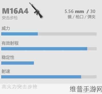 香肠派对新手射手步枪指南,精准选择,助力战场称雄