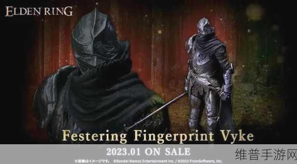 艾尔登法环深度攻略，王室卷轴的正确使用方法与获取途径