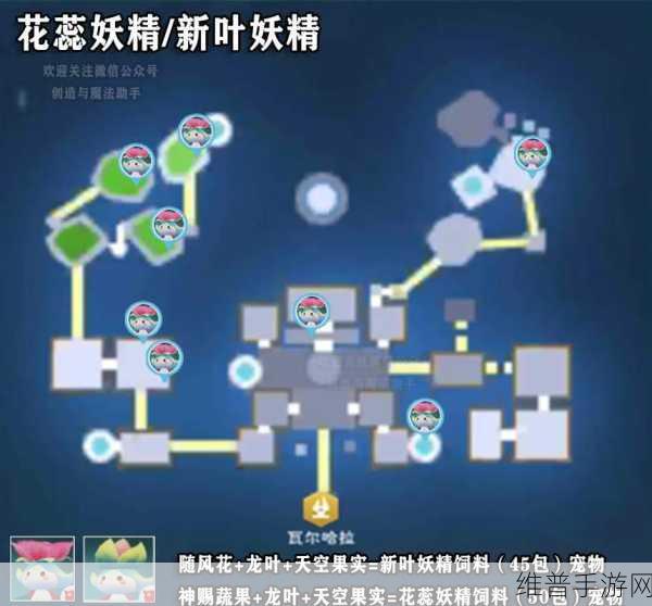 创造与魔法，花卉用途全解析