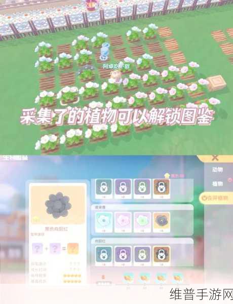 摩尔庄园薰衣草花梗获取全攻略，打造梦幻庄园的必备秘籍