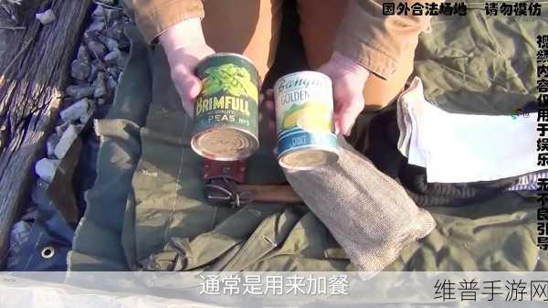 流浪 Vagante 实用装备大揭秘