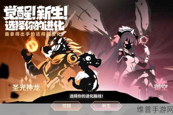 超进化物语，最强远古族选择攻略