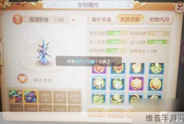 梦幻西游手游隐身宠物不同等级技能详解及搭配策略指南