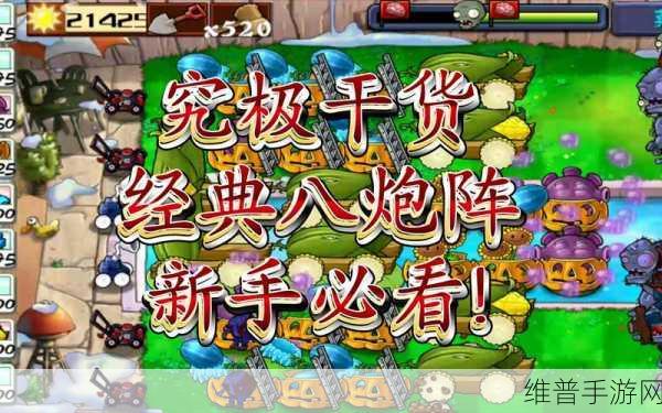 植物大战僵尸经典梯子8炮流图文教程深度解析