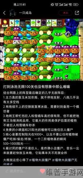 植物大战僵尸经典梯子8炮流图文教程深度解析