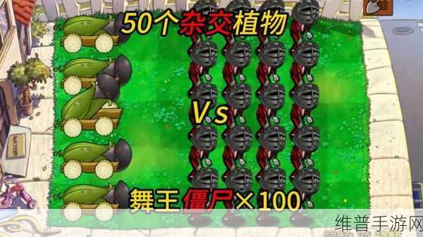 植物大战僵尸手游攻略，全面解析如何应对舞者僵尸