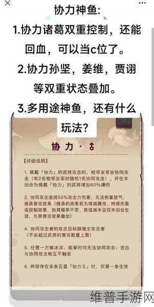 咸鱼之王贾诩技能强度解析，策略大师的深度探究