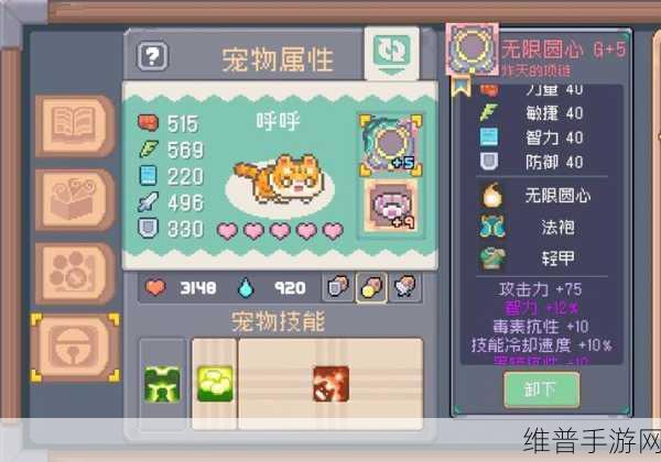 彩虹岛手游，宠物栏与装备扩充全指南