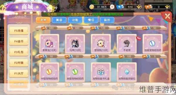 彩虹岛手游，宠物栏与装备扩充全指南