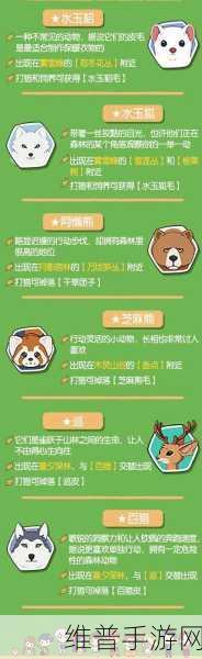 小森生活狗狗捐赠全解析，爱心传递，稀有狗券获取攻略