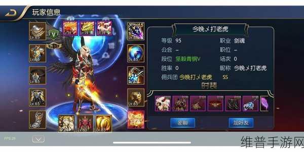 阿拉德之怒漫游高手养成秘籍