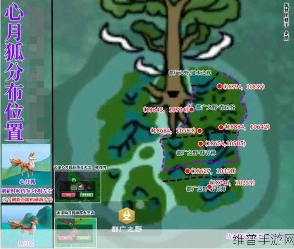 创造与魔法家园升级全攻略，打造你的梦幻领地