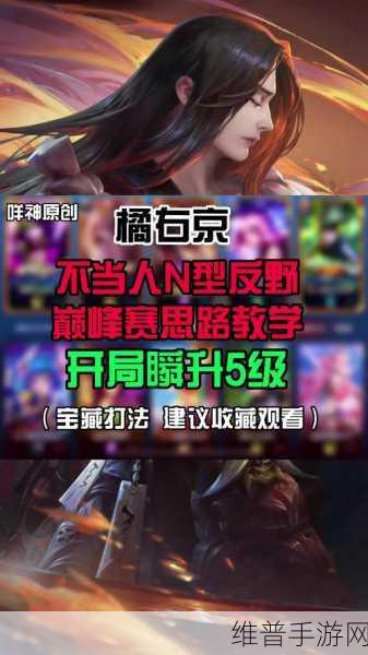 王者荣耀流量包退订全攻略,轻松管理你的游戏流量