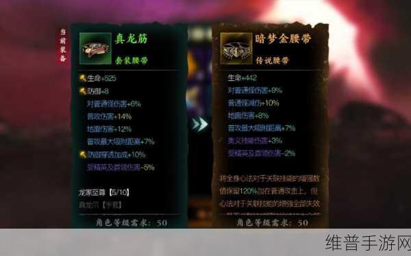 影之刃耐力之魂与资源管理，核心价值与高效运用策略