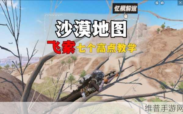 和平精英沙漠飞机道具深度解析与战术运用指南