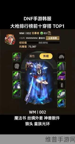DNF 手游大枪勇闯 40 层塔的致胜秘籍