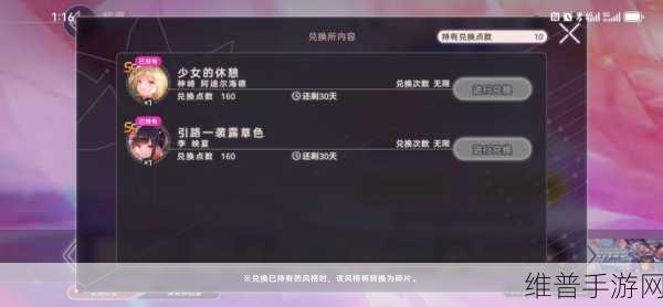 炽焰天穹手游深度解析，官服与非官服的差异与选择指南