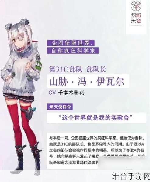 炽焰天穹手游深度解析，官服与非官服的差异与选择指南