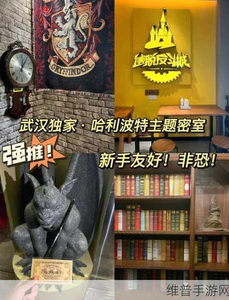 哈利波特魔法觉醒,密室入口全面攻略,解锁密室之门,探索无尽魔法世界