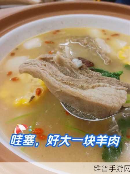 创造与魔法手游攻略，羊排汤的美味制作秘籍
