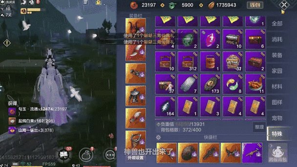 妄想山海手游攻略，揭秘三青鸟在拍卖行的价格与市场动态