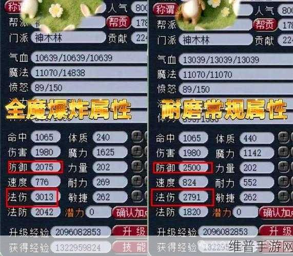 梦幻西游 109 血耐宝宝加点秘籍大揭秘