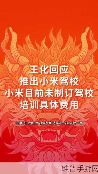 雷军新动作揭秘,小米驾校手游攻略全解析