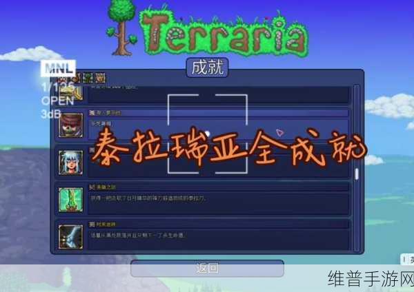 泰拉瑞亚稀有国度成就解锁攻略，探索神秘世界的秘密