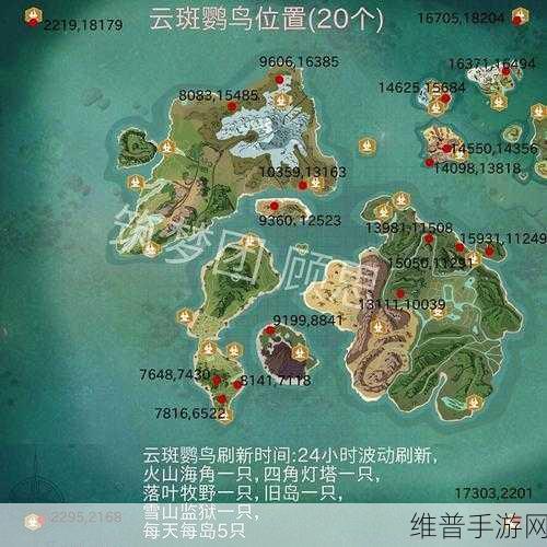 创造与魔法，云斑鹦鸟刷新位置全攻略