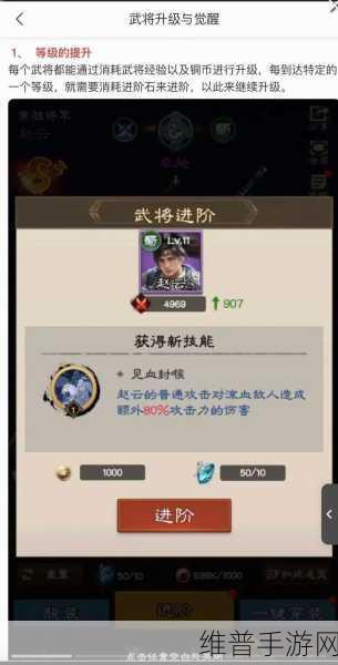 帝国战纪武将觉醒深度攻略，打造你的不败之师