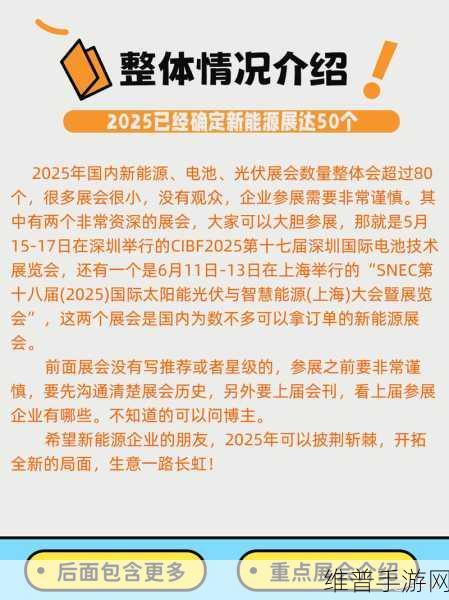 2025武汉新能源电池展,手游公司视角下的绿色能源新纪元攻略