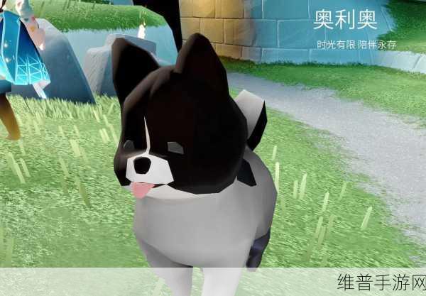 光遇奥利奥礼包玩偶，萌宠小博美的奇妙之旅