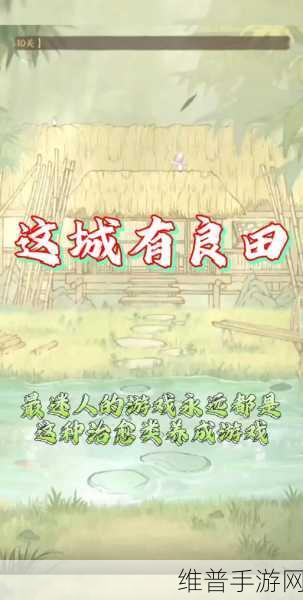 这城有良田深度攻略，州愈金针使用方法详解