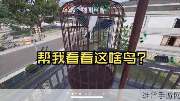 PUBG 破坏 1 个鸟笼任务全攻略指南