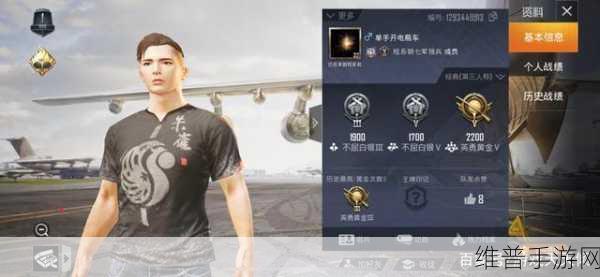和平精英刺激之夜内容全解析，战术与激情的终极碰撞