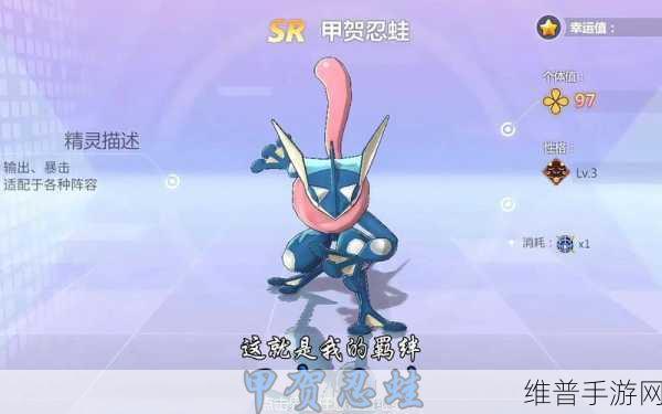 宝可梦大集结，甲贺忍蛙技能全解析