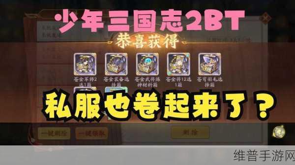 少年三国志 2 帝皇侠究竟是不是化身？深度解析与攻略