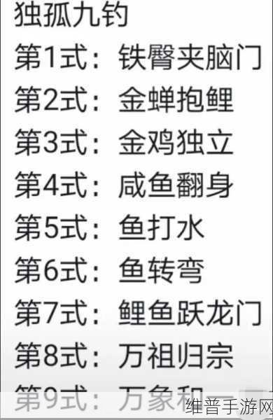 航海王热血航线游戏内钓鱼技巧全解析，掌握高效钓鱼方法指南