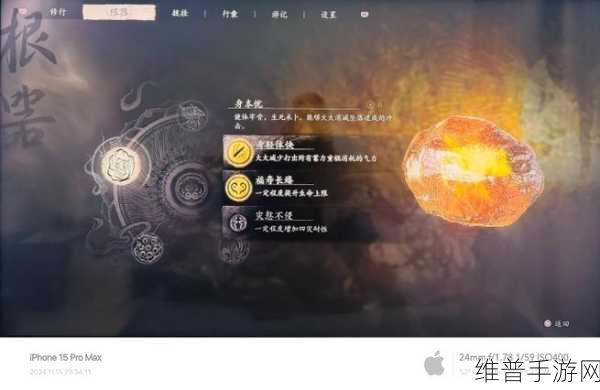 黑神话，悟空 六根之谜 六件根器全解析