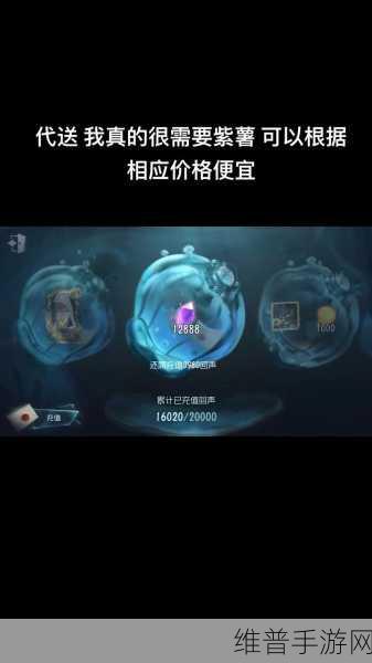 第五人格回声使用全攻略,妙招在手,物超所值不是梦