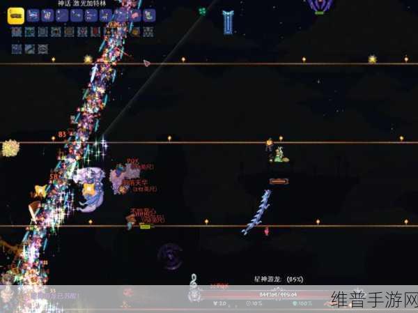 泰拉瑞亚小白龙的全方位解析与攻略指南