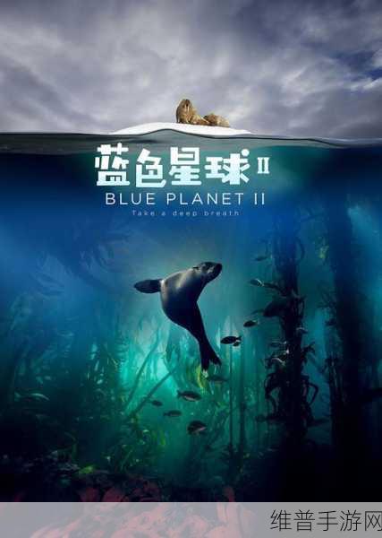 夜晚难眠？男生必看正能量纪录片蓝色星球2与手游攻略的双重治愈