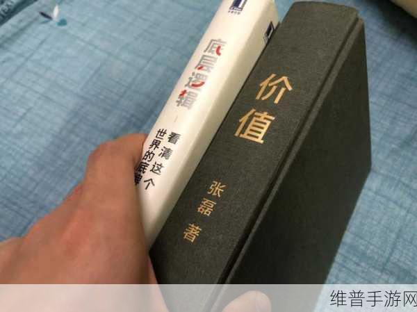 红旗领航，市场混沌中的价值坚守与长期主义手游攻略之光