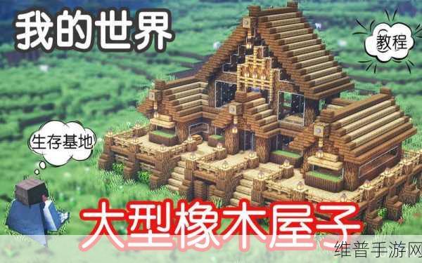 我的世界手游攻略，如何高效探寻大型村庄