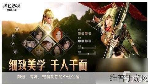 黑色沙漠手游职业强度解析与最强职业推荐